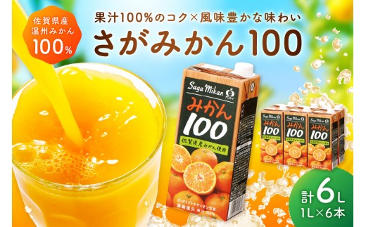 
                  【佐賀県産温州みかん使用】 みかんジュース さがみかん100 1L×6本 173-A0091
                