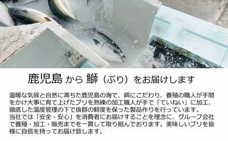 C3-4717／【鹿児島産ぶり冷凍】ぶりスライス４ｐ（刺身・しゃぶしゃぶ用）