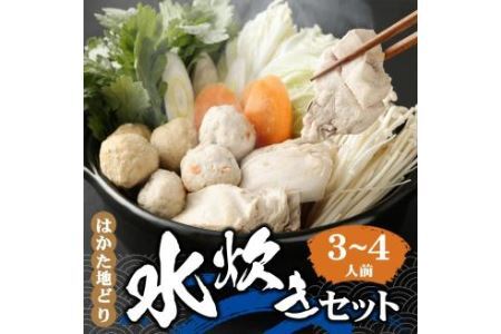 はかた地どり 水炊きセット (3-4人前) スープ つみれ 肉団子