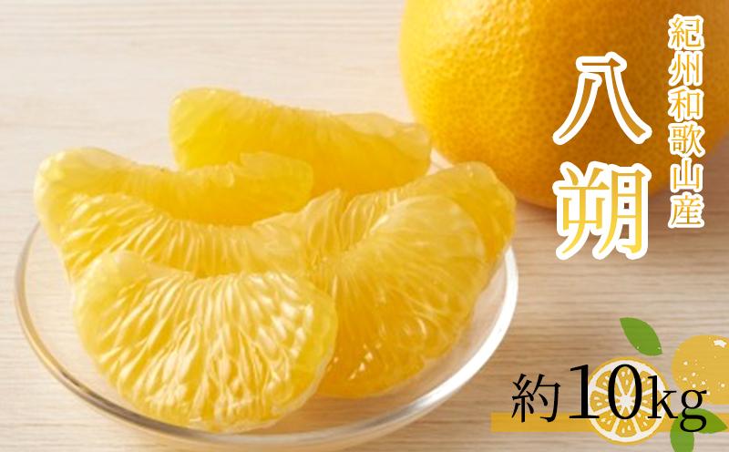 八朔（はっさく）約10kg　紀州和歌山 かつらぎ産【2026年2月上旬頃～2026年2月下旬頃に順次発送】【UT19】