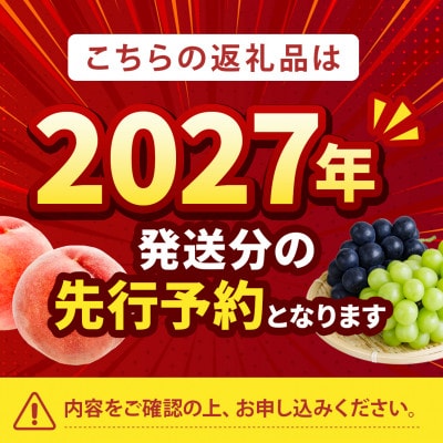 2027年発送先行受付【山梨生まれ激レア品種 夢桃香】本場山梨品種指定約2kg【配送不可地域：離島・北海道・沖縄県・中国・四国・九州】