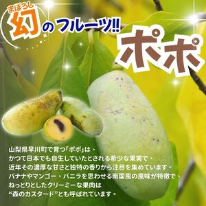 ポポジャム＆季節のジャムの詰合せ　古民家カフェ 鍵屋 ポポジャム 季節のジャム 手作り 詰め合わせ フルーツ セット 無添加 無農薬 果物 くだもの 山梨 早川町