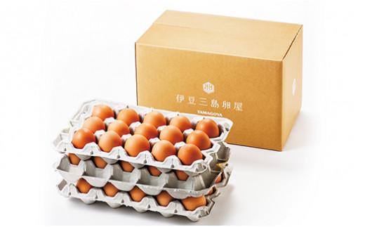 
日の出たまご45個入り
