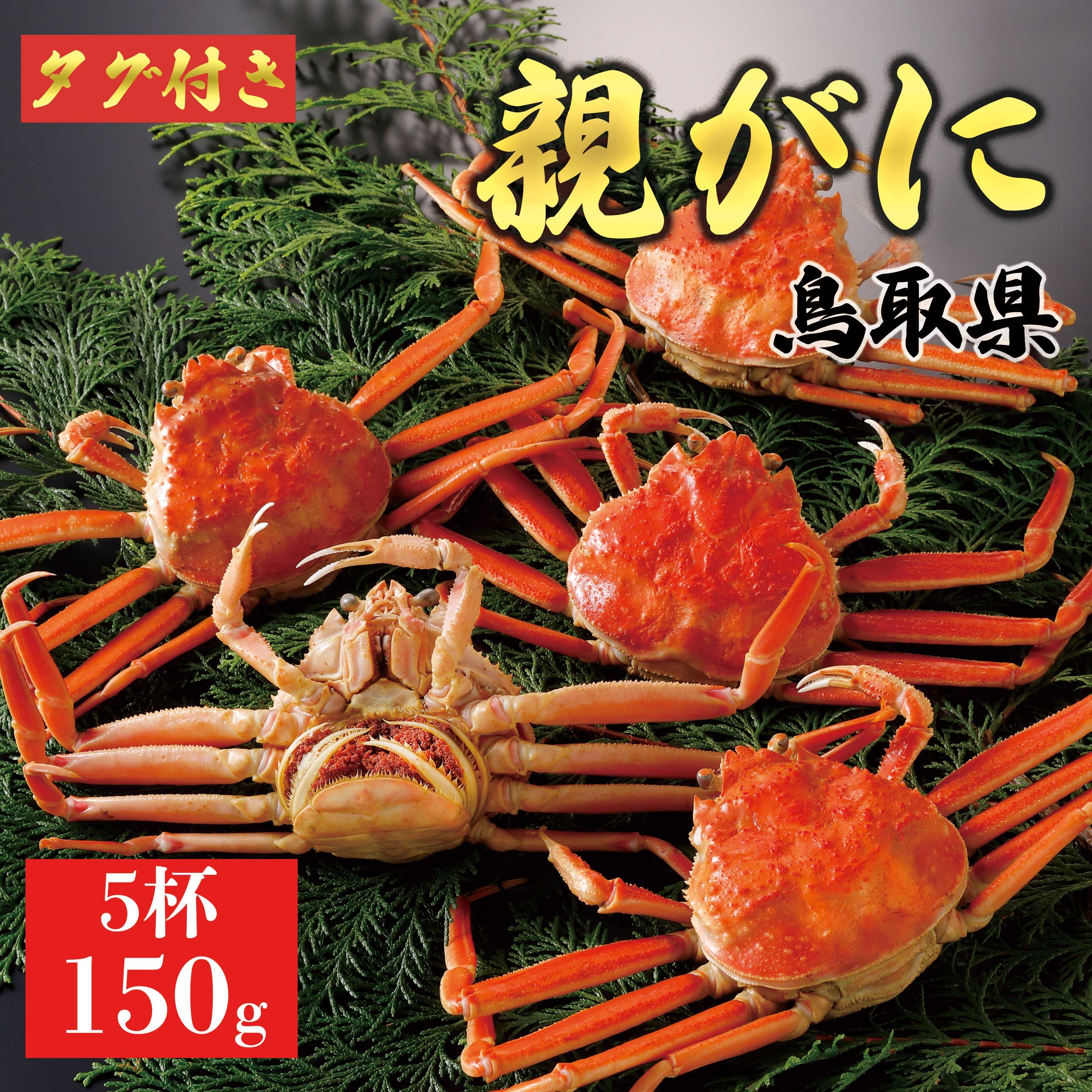 
                  【ボイル】親ガニ(セコガニ) 150g　5杯
                