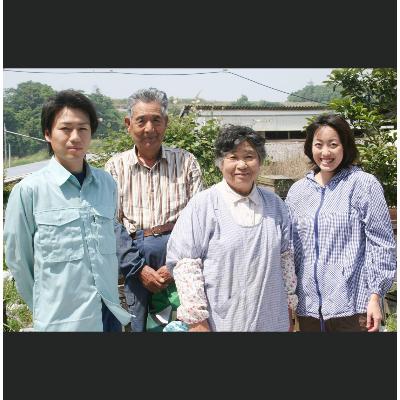 ふるさと納税 田原市 OKAWA HONEY　2個セット |  | 01