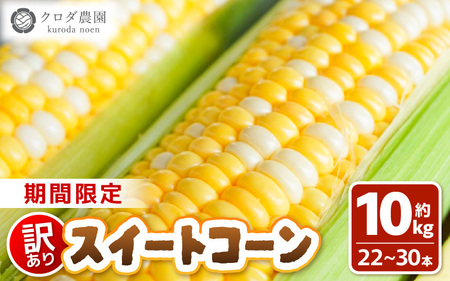 【先行予約】【訳あり】農場直送 鮮度抜群 スイートコーン( とうもろこし ) 約10kg（22本～30本) 【2026年7月上旬より順次発送予定】【お楽しみ バーベキュー 冷凍保存可能 焼肉 おやつ ご飯のおとも 野菜 国産 産地直送】 [e62-a010]