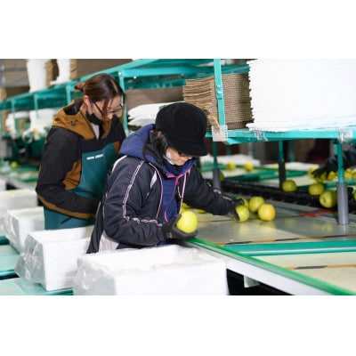 【CAりんご】糖度13度以上保証有袋ふじ×シナノゴールド約5kg訳あり家庭用【配送不可地域：離島・沖縄県】