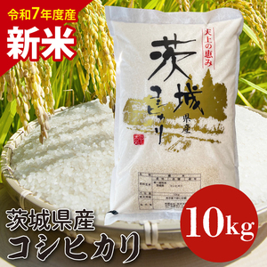 【数量限定】【10月より順次発送】【令和7年産　新米】茨城県産コシヒカリ 10kg 【お米 ごはん こしひかり 老舗 米屋 おにぎり ごはん 茨城県 水戸市 10キロ】(HQ-102)