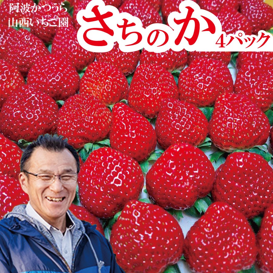 
            山西いちご園 さちのか 4P
          