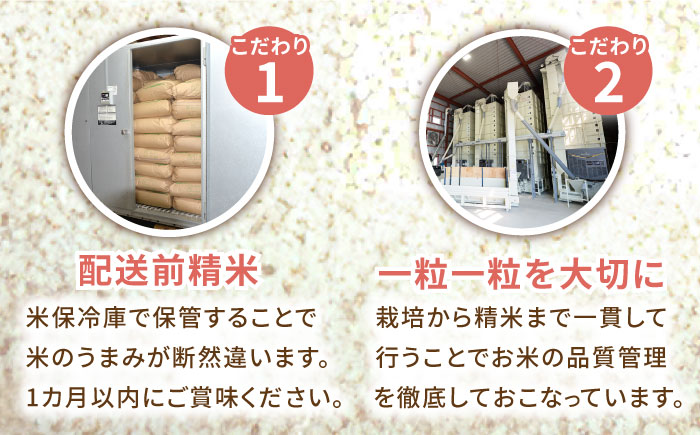 【12回定期便】令和5年産 さがびより 白米 5kg＜14年連続特A評価＞ 配送前精米/江口農園 [UBF026] 米 お米 白米 精米 ブランド米