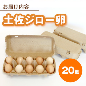 高知県産たまご 土佐ジローのたまご 10個×2パック 鶏卵
