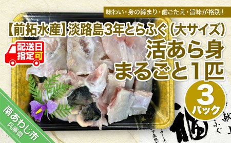 淡路島3年とらふぐ（大サイズ）活あら身まるごと1匹　3Pセット◆配送10月25日～3月31日
