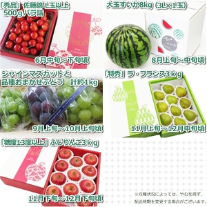 【2026年発送 先行受付】【定期便5回】山形旬の果物5選(さくらんぼ、すいか、シャインマスカット、ラフランス、ふじりんご)_H134(R8)