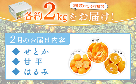 ＜2月発送！旬の柑橘 詰め合わせセット 3種×各2kg＞ 果物 フルーツ みかん ミカン 蜜柑 柑橘 オレンジ ブラッドオレンジ なつみ はるか ネーブル ポンカン 甘夏 特産品 宇都宮物産 愛媛県 