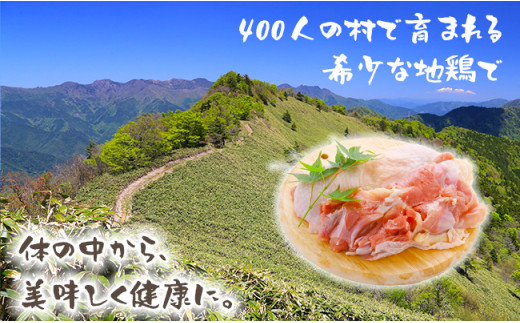【大川村と芸西村の共通返礼品】はちきん地鶏 もも肉 1kg＆土佐鴨 鴨鍋肉（2～3人前）セット 地鶏 モモ肉 鶏肉 鴨 鴨肉 かも肉 とり肉 とりにく 肉 高知県 大川村 F6R-012