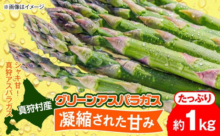 
                  【2026年5月下旬以降順次発送】 グリーンアスパラガス 1kg | 野菜 アスパラ アスパラガス やさい 北海道 産地直送 | 道の駅 真狩フラワーセンター [BPAM049]
                