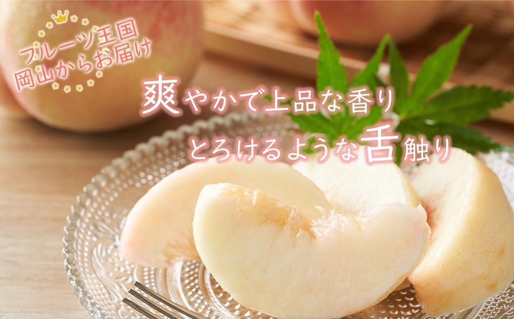 岡山県産 桃 岡山白桃 2024年 先行予約 エース 約2kg（5～10玉）早生種・中生種 もも モモ フルーツ 果物 ギフト