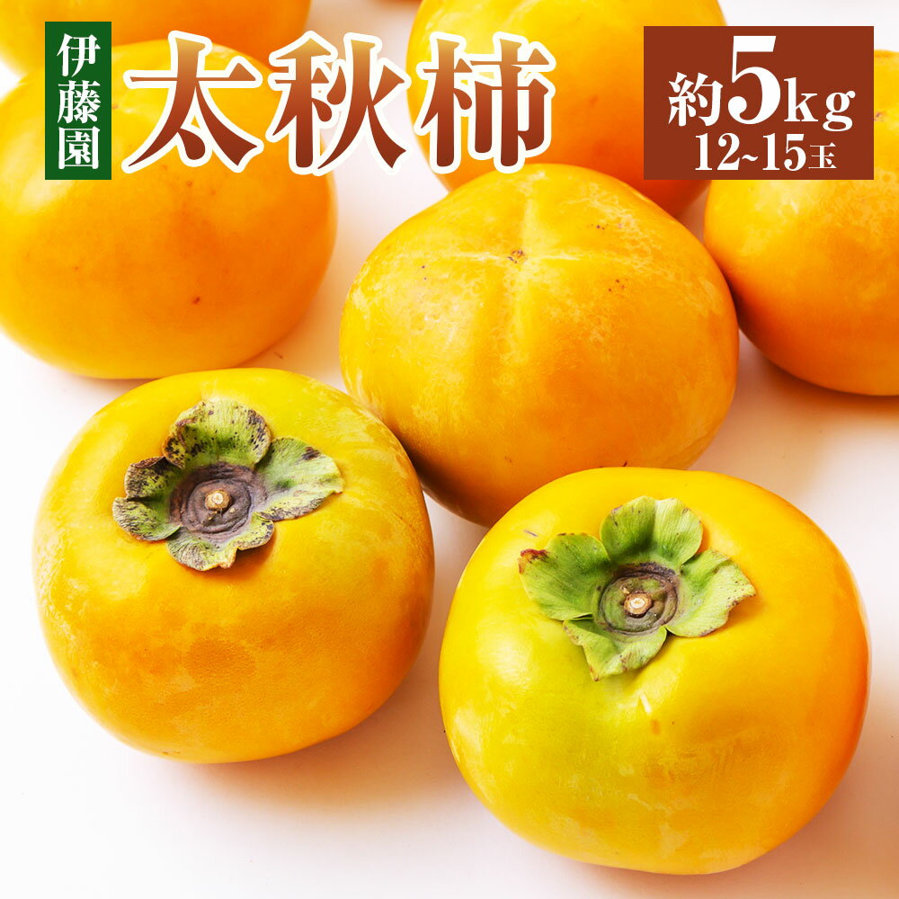 【ふるさと納税】 【先行予約】伊藤園 太秋柿 12玉から15玉 (約5kg) 2025年10月中旬から10月下旬 出荷予定