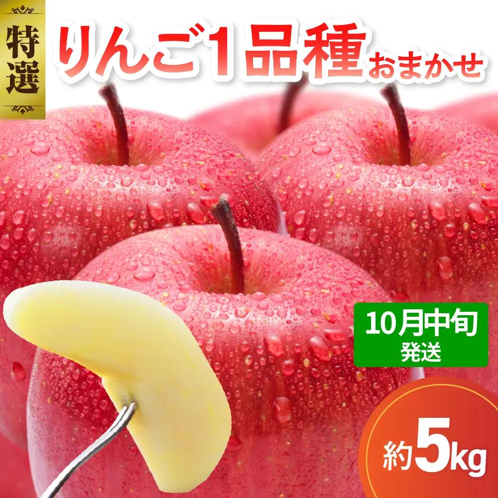 【2026年10月中旬発送】【特選】旬の美味しい りんご 約5kg 青森産 【おまかせ1品種】りんご