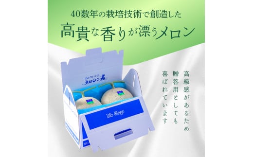 【3ヶ月定期便】アールスメロン（マスクメロン）1個入り（約1.5kg 2kg）×3回