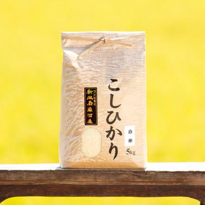 ふるさと納税 南魚沼市 【令和7年産 新米】南魚沼産コシヒカリ(白米)【5kg】 |  | 01
