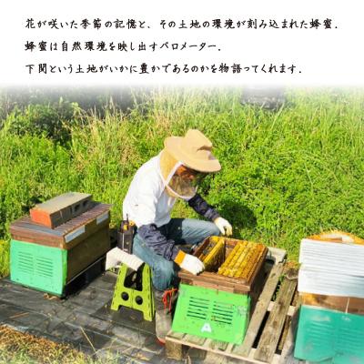 ふるさと納税 下関市 【しものせきの百花和蜜】はちみつ ニホンミツバチはちみつ 180g NB001 |  | 02