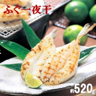 ふるさと納税 大田市 旨味を生かした「ふぐ一夜干」　約520g　U50