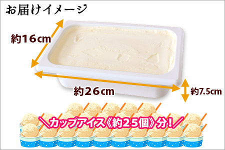 594.アイスクリーム みるく ジェラート ミルク 業務用 2リットル 2L アイス 大容量  手作り 北海道 弟子屈町