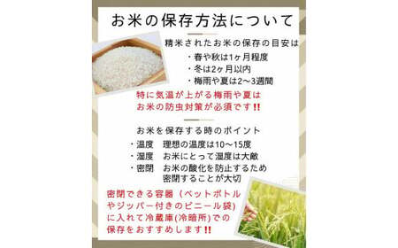 【12回定期便】コシヒカリ 10kg 定期便 精米 白米