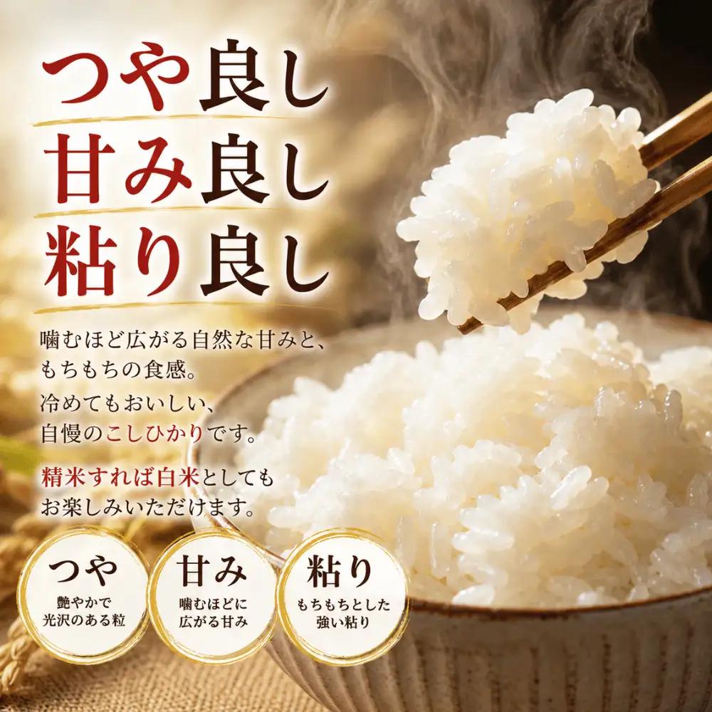コシヒカリ【玄米】 3キロ 1袋 / 国産 こしひかり  3キロ 令和7年産 米 お米 保存袋 生活必需品 ギフト 贈り物 お歳暮 ふるさと納税 送料無料