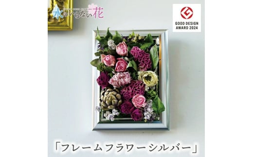 SL0242　壁に飾るフリーズドライフラワー「フレームフラワー　シルバー」水のいらない花　ゼロフラワー