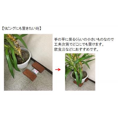 ふるさと納税 幸手市 チューチュードロンパ　特許取得　LED式ネズミ駆除器　野良猫よけ　ハクビシン等害獣忌避装置 |  | 03