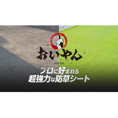 ふるさと納税 橋本市 ガーデニングや庭の景観改善に使用　雑草を防ぎ草抜き作業を軽減　青々とした夏の人工芝防草シート