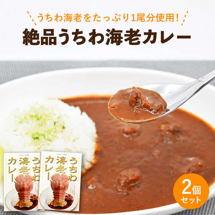 【ふるさと納税】【時間指定 可能】【出汁も身もうちわ海老！！】絶品 うちわ海老カレー（2食セット） [KAA205]