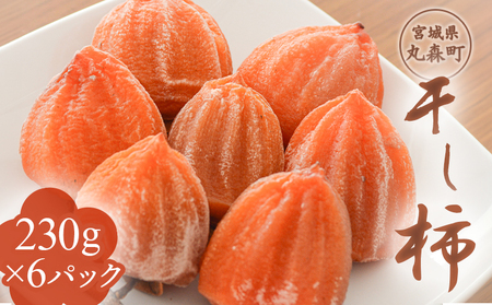 宮城県丸森町産　干し柿　230g×6パック【45001】
