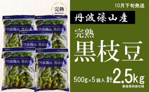 【2025年10月下旬発送】令和7年産 完熟丹波黒枝豆500g×5(枝なし)