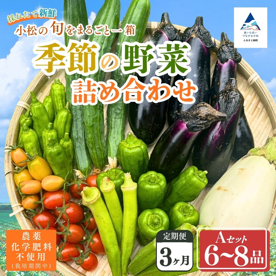 【ふるさと納税】【定期便3ヶ月】季節の野菜詰め合わせ Aセット 野菜食べ比べ 旬の野菜 野菜セット定期便 | 石川県 小松市【Kacchan.Farm】042008