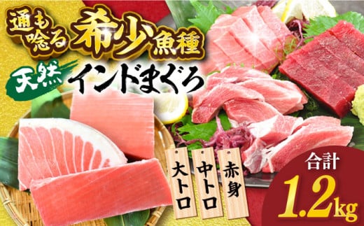 天然 まぐろ 大トロ・中トロ・赤身（約200ｇ×6柵）約1200ｇ 鮪 マグロ 魚 刺身 横須賀【本まぐろ直売所】 [AKAK021]