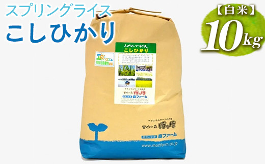 【新米】スプリングライス こしひかり (白米)10kg ※着日指定不可 | 米 こめ コメ 10キロ 精米 白米 こしひかり コシヒカリ 古河市産 茨城県産 取り寄せ お取り寄せ ギフト 贈答 贈り物 プレゼント お中元 お歳暮 茨城県 古河市 直送 農家直送 産地直送 送料無料 ※2026年9月～発送 _BI26