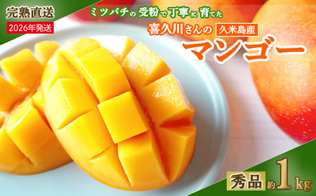マンゴー 【2026年発送】ミツバチの受粉で育てた喜久川さんの完熟マンゴー 約1kg ◆秀品◆ フルーツ 果物 