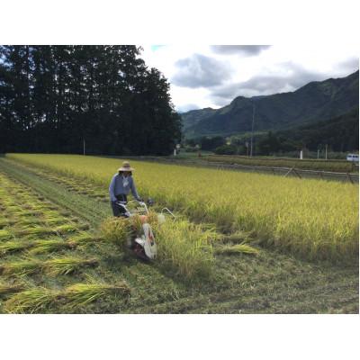 ふるさと納税 松川村 北アルプス山麓で育った　天日干し　朝日　玄米10kg(栽培期間中農薬・肥料・除草剤不使用) |  | 01