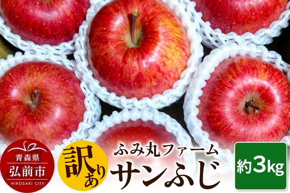 
            りんご ふみ丸ファーム【訳あり】サンふじ 3kg
          