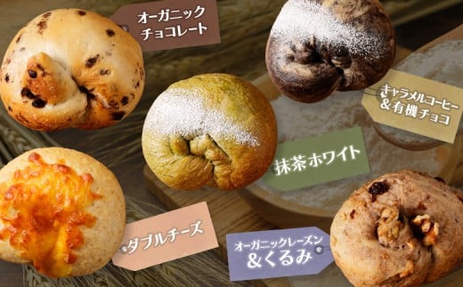 【定期便：全2回】トモヱベーグル ギフトセット「北の麦輪（むぎわ）１０個セット」