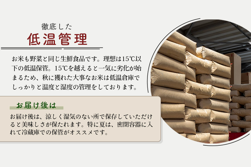 ※令和6年産 新米予約※《定期便12ヶ月》秋田県産 あきたこまち 30kg【無洗米】(5kg小分け袋) 2024年産 お届け時期選べる お届け周期調整可能 隔月に調整OK お米 藤岡農産