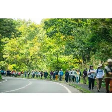 安芸太田ウォーキング大会 in 深入山「もみじウォーク(6・10キロコース)大人4名」【1742790】