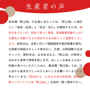 【2026年5月下旬発送】令和7年産 新潟県上越妙高産新之助2kg※沖縄県・離島配送不可