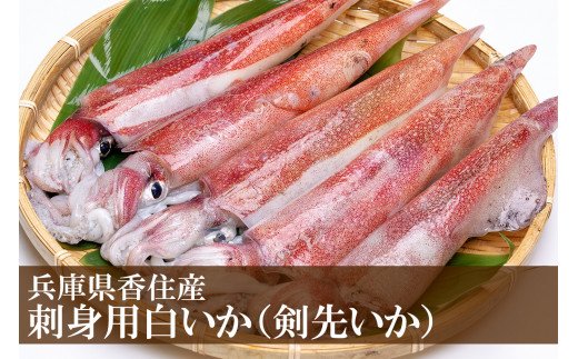 【ふるさと納税】 刺身用 白いか 剣先いか たっぷり 【約1kg・5～8杯】 瞬間冷凍 甘い 濃厚 いか イカ 烏賊 刺身 おつまみ おかず 魚介類 魚介 海鮮 お刺身 イカゲソ イカそうめん イカ刺し 海鮮丼 寿司 寿し BBQ 33-07 送料無料