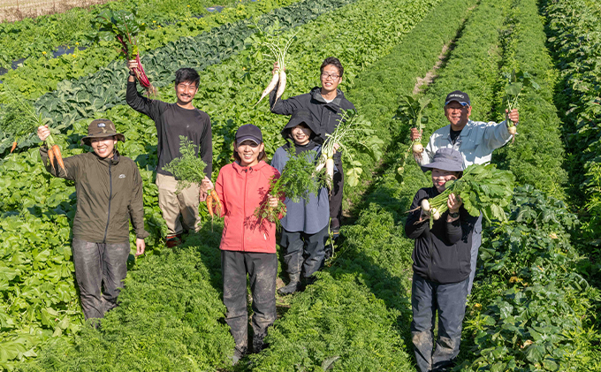 甘味に自信あり！彩り 野菜 BOX（7種類）【配達不可：北海道・沖縄・離島】