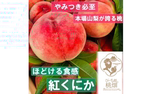 【なめらかホロホロ食感紅くにかブランド】ほどける食感がやみつき人気品種 約2kg【2025年発送】（PMK）D4-104 【紅くにか 桃 もも モモ 令和7年発送 期間限定 山梨県産 甲州市 フルーツ 果物】