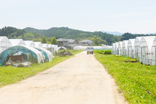 有機農業のお話 現場見学 染物 アート 体験ツアー お土産付 ／ 山口農園 ふるさと納税 チケット 有機野菜 カレー レトルト オーガニックビレッジ 宣言 の街 奈良県 宇陀市 伝統野菜 オーガニック